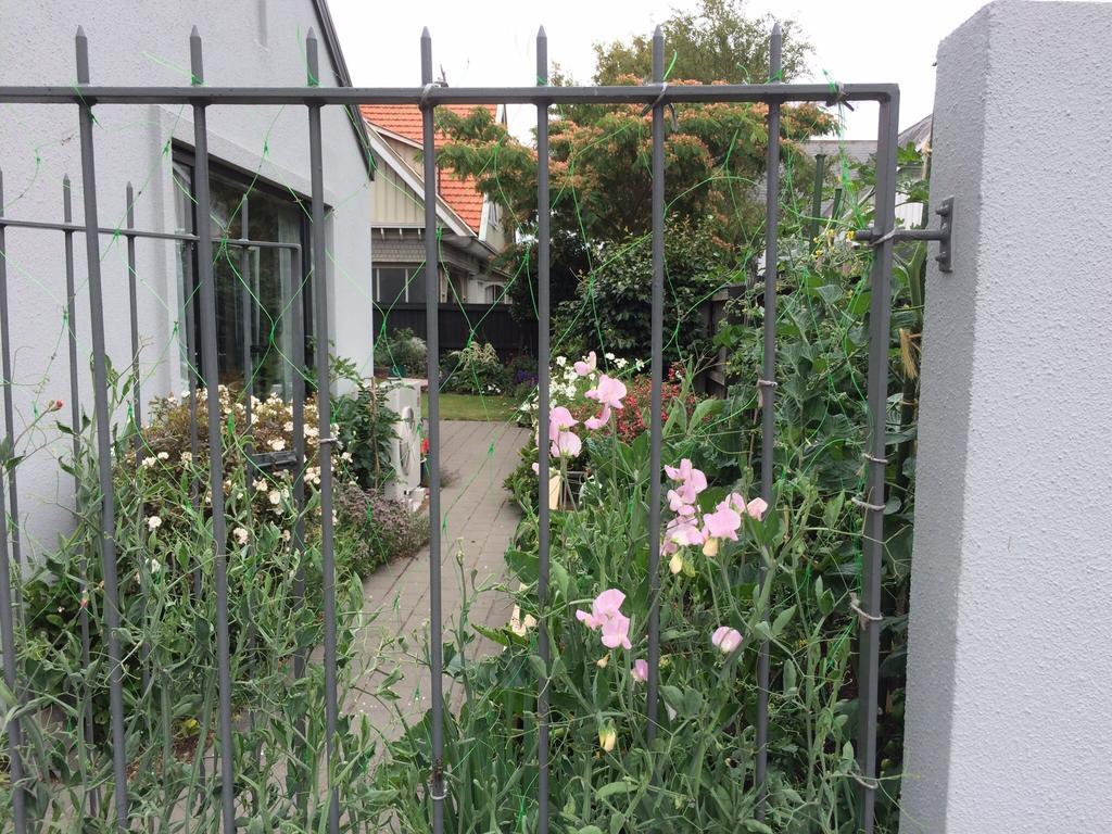 Garden Bed And Breakfast Christchurch Exterior photo