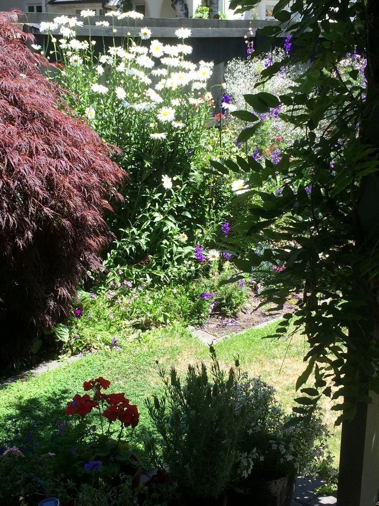 Garden Bed And Breakfast Christchurch Exterior photo